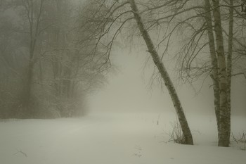 Зима / Туманное утро