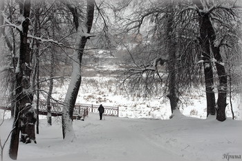  / ....Богородицк... В центре города река Упёрта, на высоком берегу которой находится первый пейзажный парк России, а в парке — дворец-музей 18 века. Богородицк — маленький провинциальный город, разделённый с севера на юг рекой Упёртой, с традиционной радиально-кольцевой структурой в западной своей части.