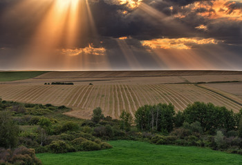 Солнечные узоры / Август