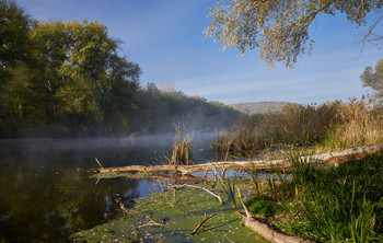 Осенним утром у реки... / Осень 2020. Река Северский Донец.