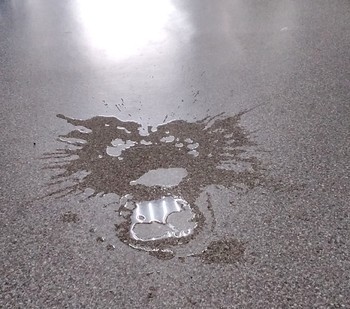 Вчера просто уборщица пролила воду на пол !! / Фактически, пролитое случайно пятно - похоже на тест Рорсмаха))
А кто что видит тут из - ВАС ??!!..)))