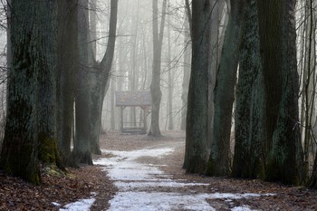 Про беседку..... / Петербург. Осиновая Роща. Апрель