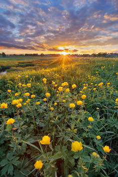 &nbsp; / Панорама