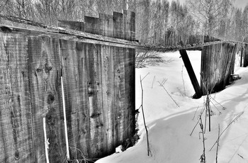 "Скрипит забор, страдая неустанно ..." / "Скрипит забор, страдая неустанно,
 Как будто молвит он о тягостном былом,
 Сухая речь его и жалобна, и бранна,
 В ней ропщет он о том, что не готов на слом.
 Мне слышать этот стон тоскливо -
 Ограда из досОк ровесница моя,
 Я в детстве с ней была мила и шаловлива,
 Она молчать могла, от глаз меня тая.
 Последняя весна приходит к огражденью
 И я помочь ему, пожалуй, не смогу,
 Готова я уже за это к осужденью
 И слушаю всю ночь скрипучую брюзгу ..."