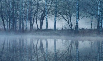 На рассвете......... / Петербург. Парголово. Апрель