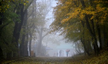 Дождливое утро............. / Железноводск. Октябрь