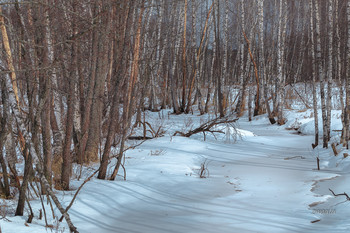 река под снегом / Большая Десна скоро растает