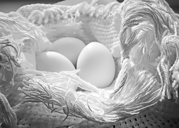 яйца / яйца в салфетке