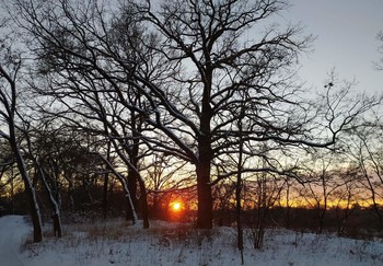 Холодная красота зимних закатов... / Зимой закаты поражают своей необыкновенно яркой, но холодной красотой!