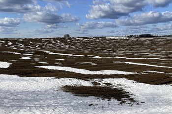 Март / Беларусь.