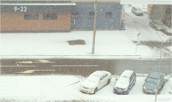 снежок на 8 Марта... / [img]https://i.imgur.com/ZEcQzkQ.jpg[/img]