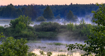Утренний туман. / Туман в утренние часы рассвета. Мещера, озеро Сосновое.