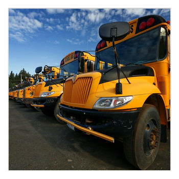 &nbsp; / School buses parked in their stow away parking lot during school free days. 
Newfoundland, Canada