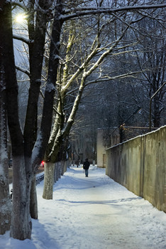 Зимня дорога / г. Новгород Великий