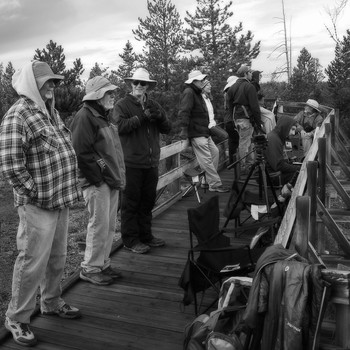 &quot;Охотники за баяном&quot; / Длительное ожидание начала функционирования гейзера фотографы коротают неспешной беседой...
 Йе́ллоустонский национа́льный парк (Yellowstone National Park)