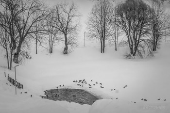 У пруда / Где - то