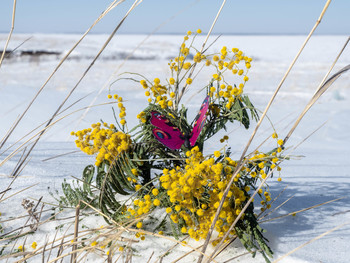 Весенняя фантазия / Бабочки , весна