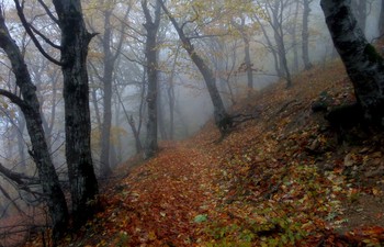 Осенние тропы.......... / Железноводск. Октябрь