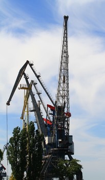 &nbsp; / .........................