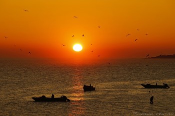 Утомленное солнце нежно с морем прощалось... / Таганрог. Азовское море.