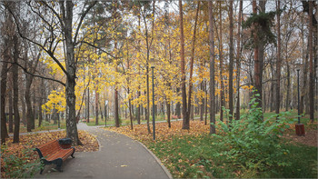 Осенний парк... / ***