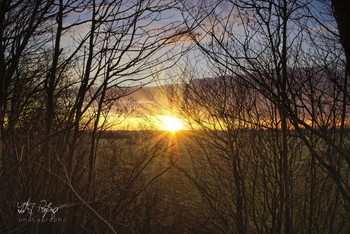 &nbsp; / Sonnenuntergang in den letzten Wintertagen.