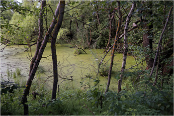 &nbsp; / Мои пенаты