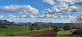  / schönes Wetter auf dem Dinkelberg