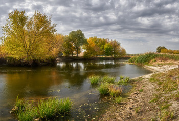 Начиналась осень золотая... / Осень 2020. Река Северский Донец.