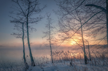 Морозный пар / Шатурские озера парят на морозе. Сквозь меховую завесу пара пробиваются первые лучи еще холодного солнца.