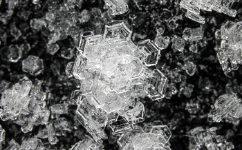Макро-цветок зимы / Кристаллы льда