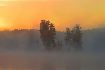 В тумане утреннем......... / Петербург. Осиновая Роща. Август