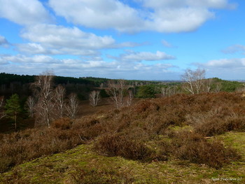 Fischbeker Heide Hamburg / Вересковая долина в районе Фишбек (Fischbeker Heide) составляет 773 га одного из крупнейших охраняемых районов Гамбурга. http://fotokto.ru/blogs/fischbeker-heide-hamburg-32765.html Слайд-шоу "Fischbeker Heide Hamburg" https://www.youtube.com/watch?v=DMM68wkJe-g
Слайд-шоу "Крокусы"
https://www.youtube.com/watch?v=sKwg-6g1Xok
Dahliengarten Hamburg

https://www.youtube.com/watch?v=YIZZSauDE3w

Rosengarten. Planten un Blomen Hamburg:

https://www.youtube.com/watch?v=tKJmmXxh-1U&amp;t=8s

Слайд-шоу "Парк цветов летом"

https://www.youtube.com/watch?v=glVWjqRqZr0

Слайд-шоу "Парк цветов весной"

https://www.youtube.com/watch?v=kJVKlWcQxCg

Слайд-шоу "Парк цветов осенью"

https://www.youtube.com/watch?v=_Q7gRXGUa5A

Слайд-шоу "Розы"

https://www.youtube.com/watch?v=2jSTxDgGqsI

Слайд-шоу "Цветы"

https://www.youtube.com/watch?v=JYadETNgWMY