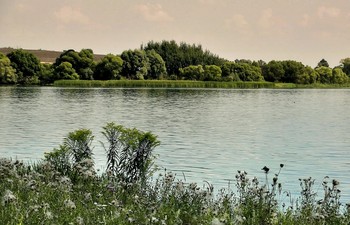 Лето, ах лето / Лето, ах лето! А тебя всё нету!