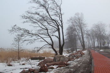 Весенний Выборг / Весенний туман на несколько дней поглотил город Выборг своей пеленой.