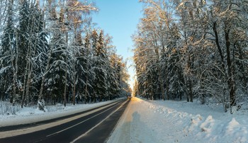 Дорога, Лес, Зима / Какие же красивые зимой леса! Стоят в снегу, как в сказке… Едешь и заглядываешься… даже на дорогу не смотришь)