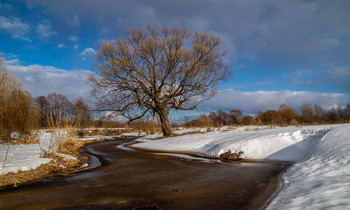Весна берёт своё # 04 / 27 марта 2021 года, река Дрезна, восток Московской области
