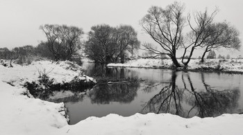 &nbsp; / Природа Беларуси