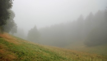 Туман, уходящий вниз по долине / На склонах..