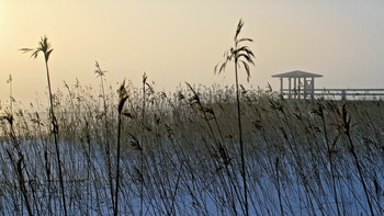 Зимнее утро / Берег