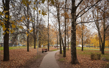 В осеннем парке... / ***