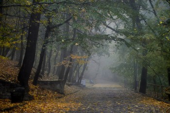 Утром ненастным...... / Железноводск. Октябрь