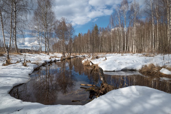 весна / ***