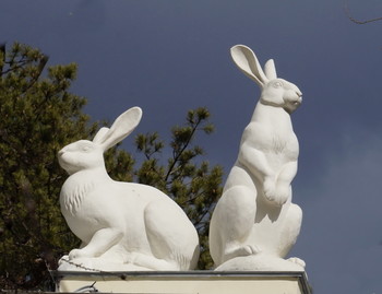 Эстер / Эстер