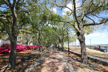 Чарльстон, Южная Каролина / ***