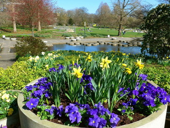 Planten un Blomen Hamburg / Wilhelmsburger Inselpark Hamburg

https://www.youtube.com/watch?v=dNOCQPn2sZA


Слайд-шоу &quot;Крокусы&quot;
https://www.youtube.com/watch?v=sKwg-6g1Xok


Dahliengarten Hamburg

https://www.youtube.com/watch?v=YIZZSauDE3w

Rosengarten. Planten un Blomen Hamburg:

https://www.youtube.com/watch?v=tKJmmXxh-1U&amp;t=8s



Слайд-шоу &quot;Парк цветов летом&quot;

https://www.youtube.com/watch?v=glVWjqRqZr0

Слайд-шоу &quot;Парк цветов весной&quot;

https://www.youtube.com/watch?v=kJVKlWcQxCg

Слайд-шоу &quot;Парк цветов осенью&quot;

https://www.youtube.com/watch?v=_Q7gRXGUa5A

Слайд-шоу &quot;Розы&quot;

https://www.youtube.com/watch?v=2jSTxDgGqsI

Слайд-шоу &quot;Цветы&quot;

https://www.youtube.com/watch?v=JYadETNgWMY