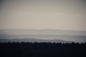 Шварцвальд / Вид на один из самых крупных лесных массивов в Германии