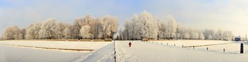 Вышел на прогулку / февраль