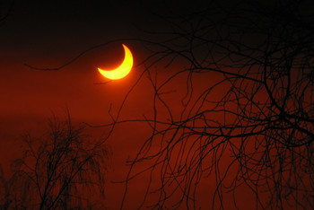 Затмение / солнечное затмение 4января 2011,пик пришелся на 10.04 по киевскому времени. Снимал через пленку, без обработки