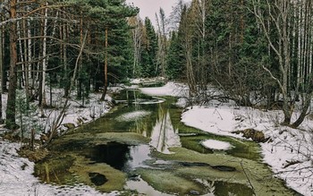 весенняя фоточка / Город Лесной, 11 апреля 2020 года от Р. Х.